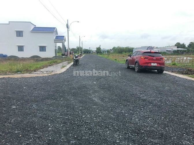 3560587 ảnh đại diện 1