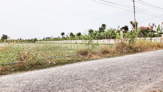 3560462 ảnh đại diện 1