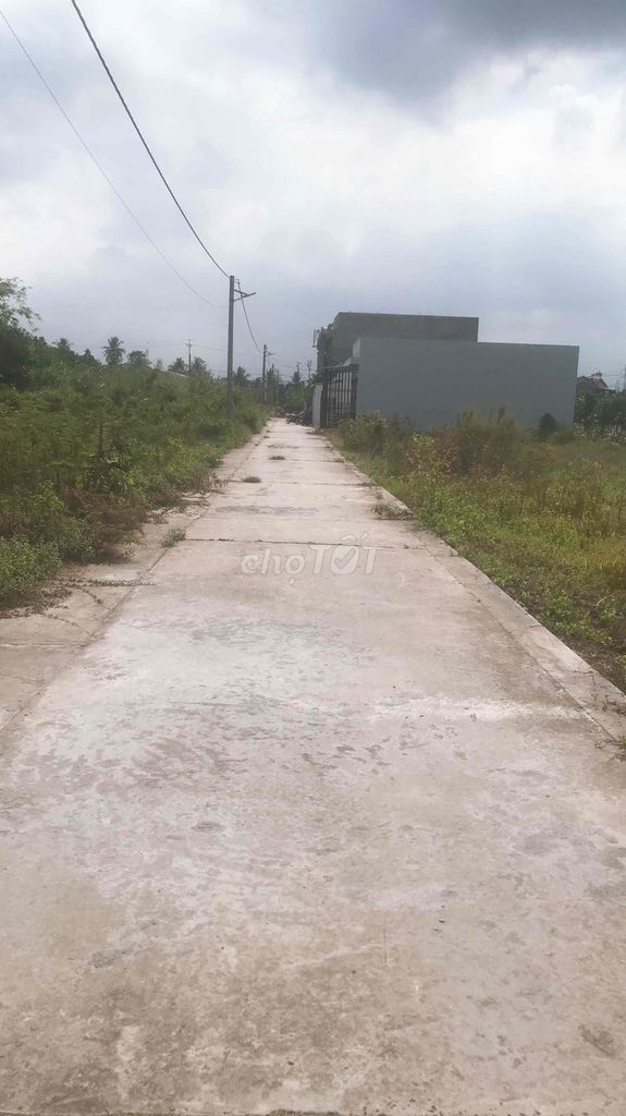 3563126 ảnh đại diện 1
