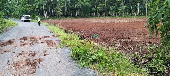 3560097 ảnh đại diện 1