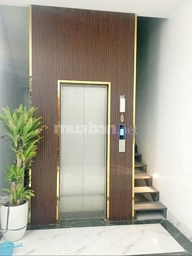 3558946 ảnh đại diện 1