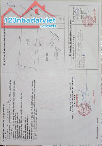 3557592 ảnh đại diện 2