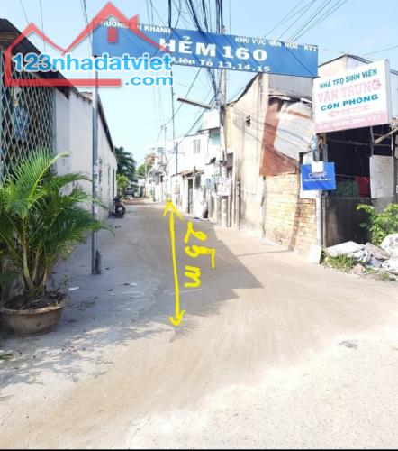 3557592 ảnh đại diện 1