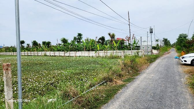 3560462 ảnh đại diện 2