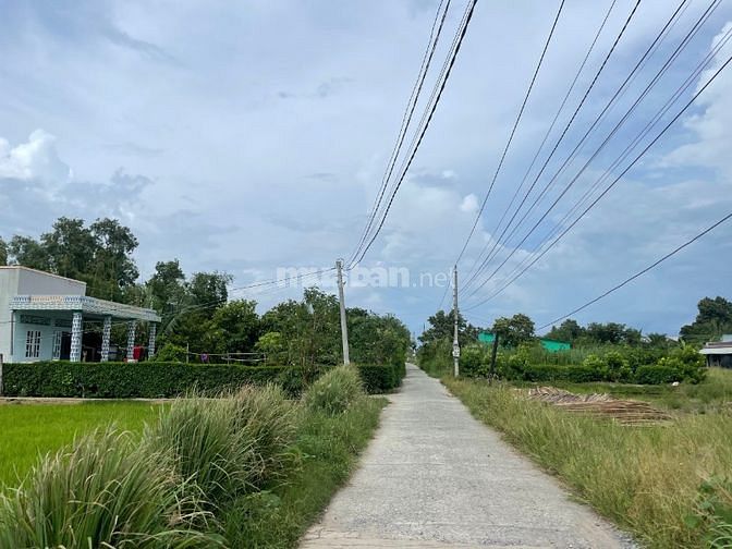 3560591 ảnh đại diện 1
