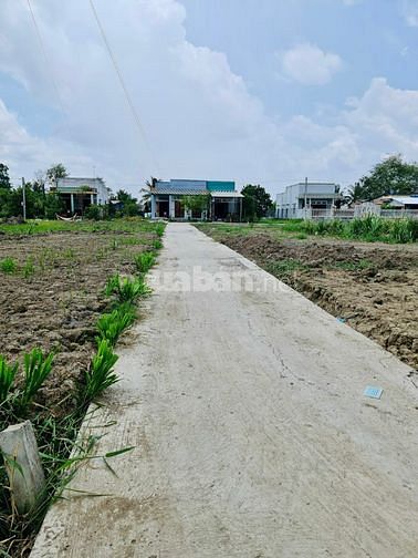 3560550 ảnh đại diện 1