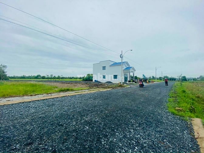 3560587 ảnh đại diện 1