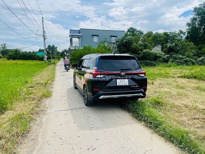 3560591 ảnh đại diện 2