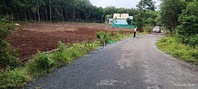 3560097 ảnh đại diện 1