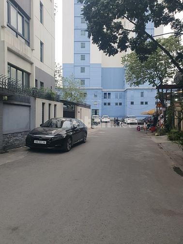 3569762 ảnh đại diện 2