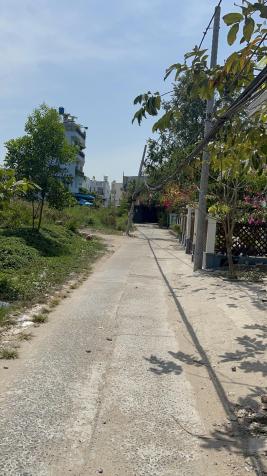 3570423 ảnh đại diện 2