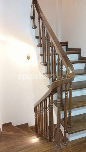 3569236 ảnh đại diện 1