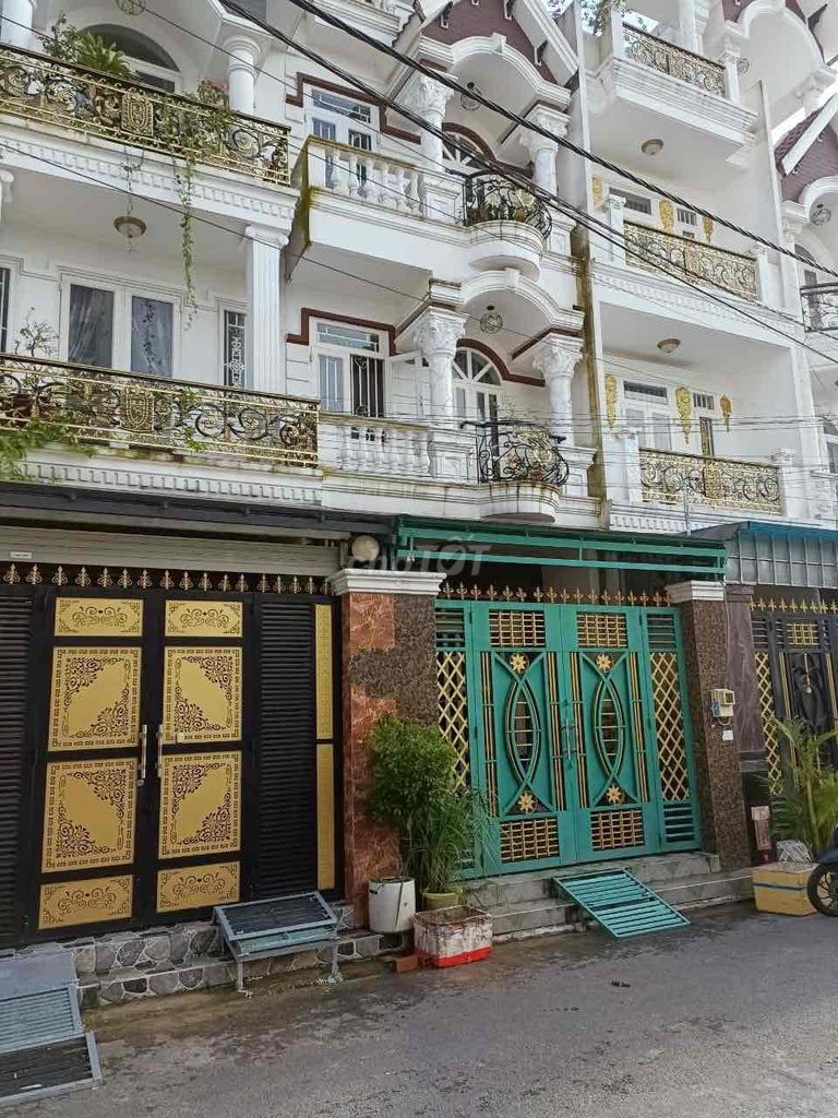 3565577 ảnh đại diện 2