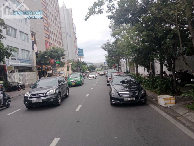 3567523 ảnh đại diện 1