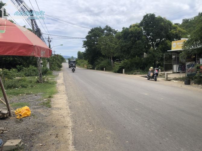 3567181 ảnh đại diện 2