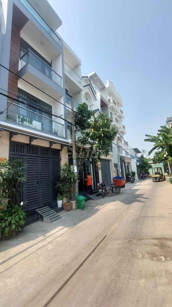3565577 ảnh đại diện 1