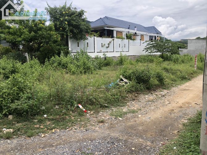 3567181 ảnh đại diện 1