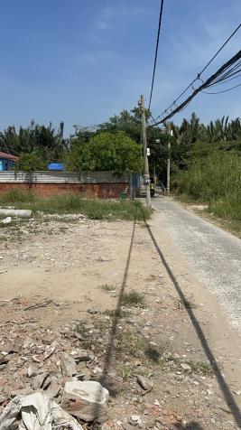 3570423 ảnh đại diện 1