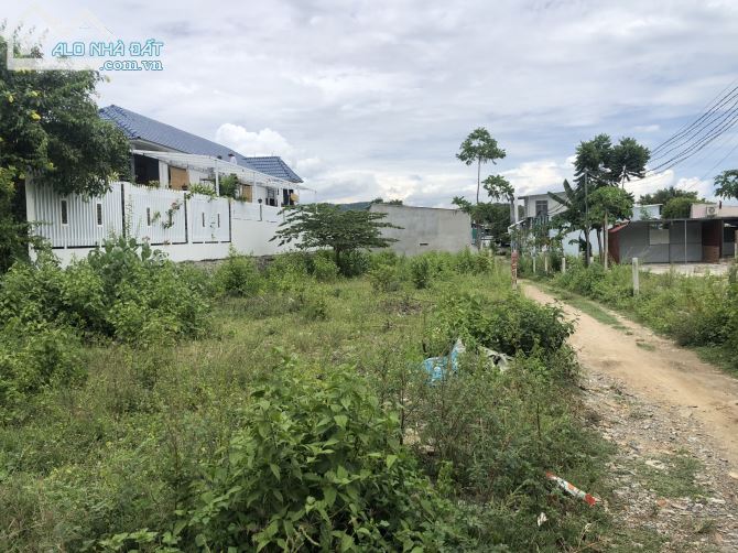 3567181 ảnh đại diện 1