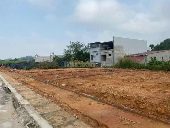 3563686 ảnh đại diện 1
