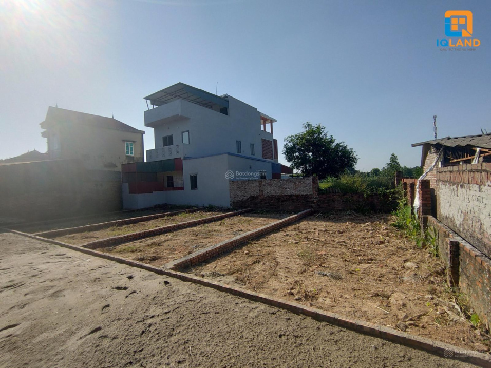 3567129 ảnh đại diện 1