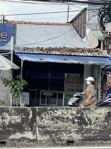 3569323 ảnh đại diện 1