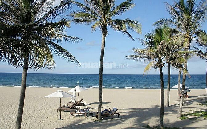 Nóng Nóng, Bán Đất Mặt Tiền Huỳnh Thúc Kháng, Shr, View Biển