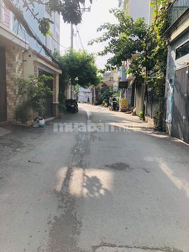 3575421 ảnh đại diện 1