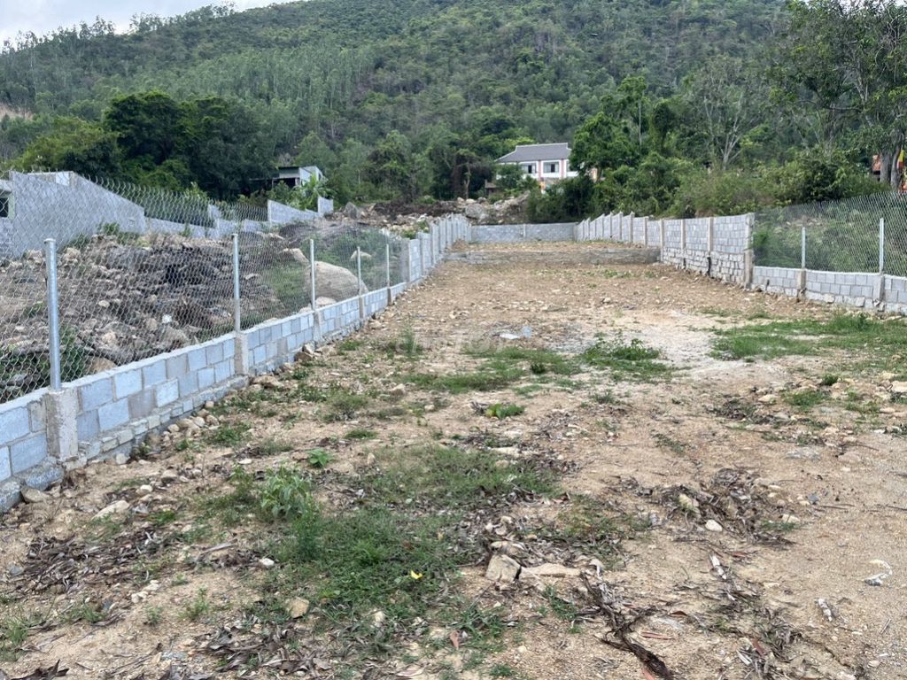 3576672 ảnh đại diện 1
