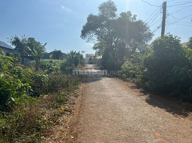 3573254 ảnh đại diện 1
