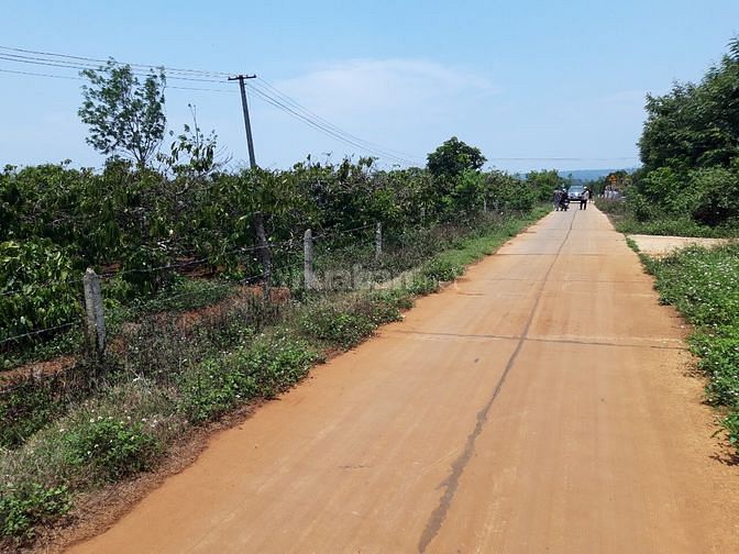 3573236 ảnh đại diện 1