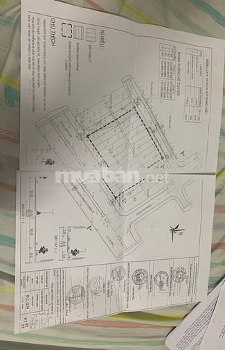 3574949 ảnh đại diện 1