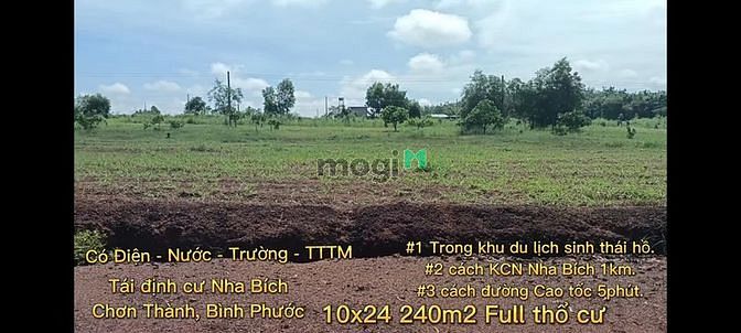 3583866 ảnh đại diện 1