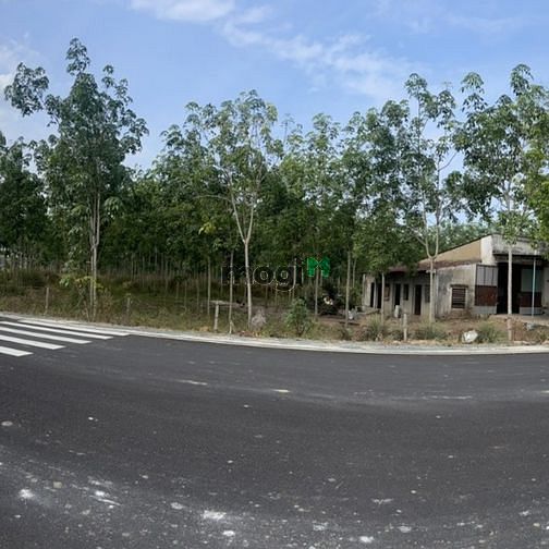 3583859 ảnh đại diện 2