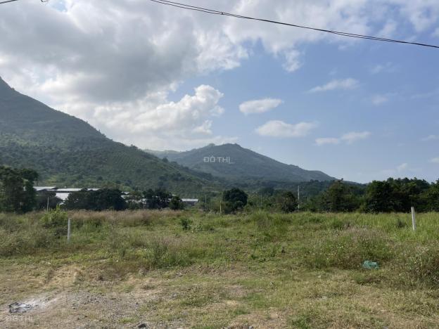 3580388 ảnh đại diện 1