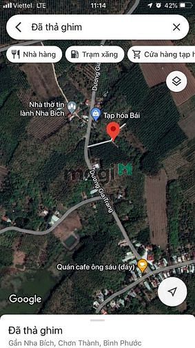 3583855 ảnh đại diện 2