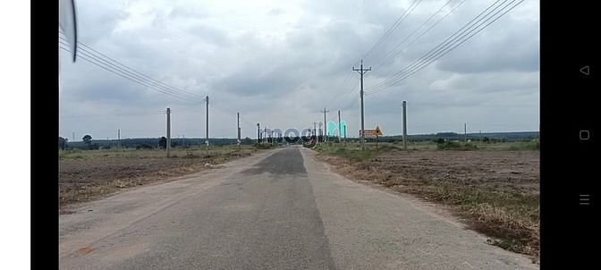 3583865 ảnh đại diện 2