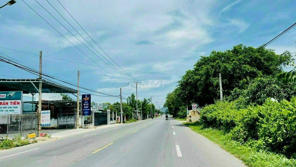 3586731 ảnh đại diện 2
