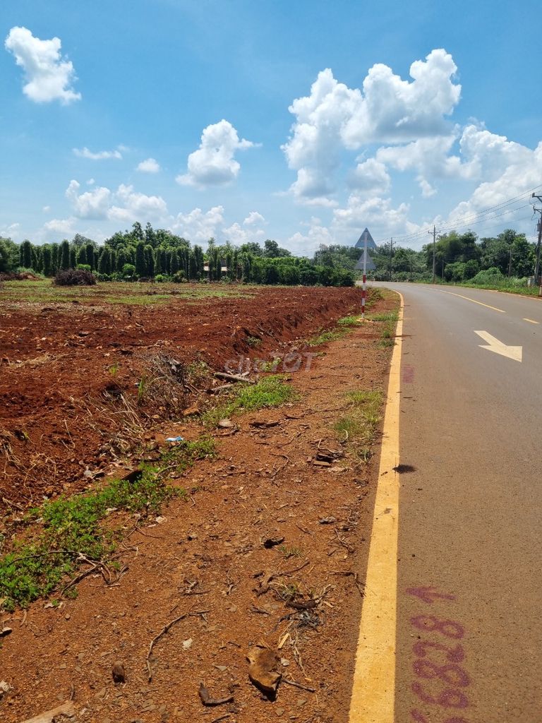 3586734 ảnh đại diện 2