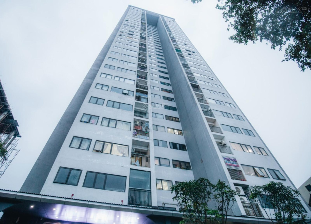 3587898 ảnh đại diện 1