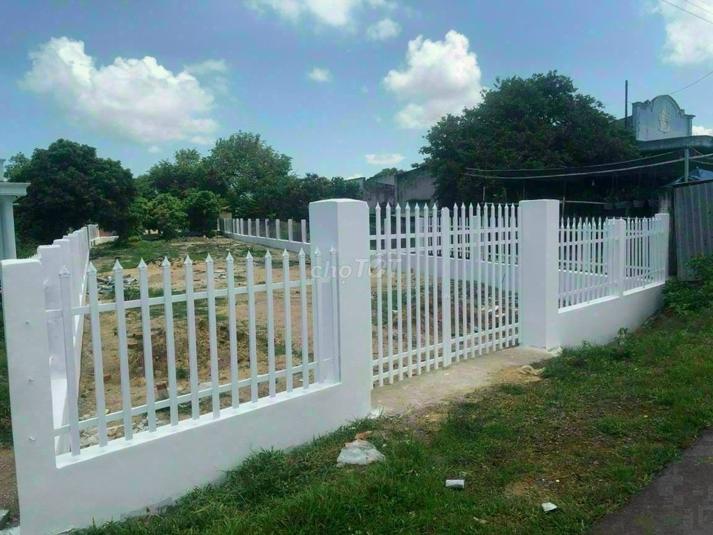 3586731 ảnh đại diện 1