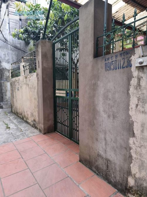 3587006 ảnh đại diện 1