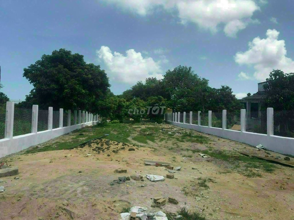 3586731 ảnh đại diện 1
