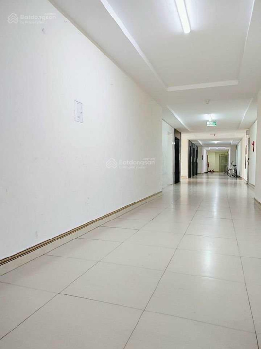 3587905 ảnh đại diện 1