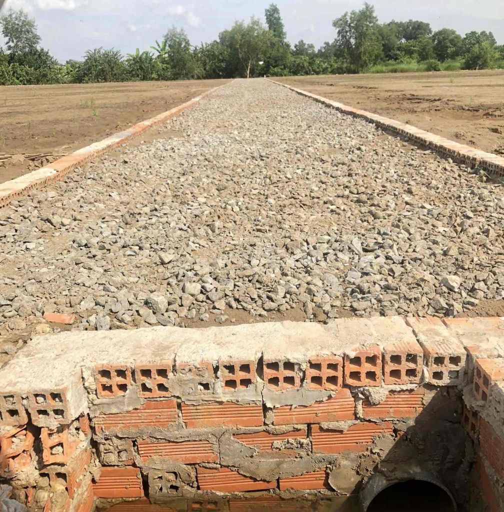 3592983 ảnh đại diện 1
