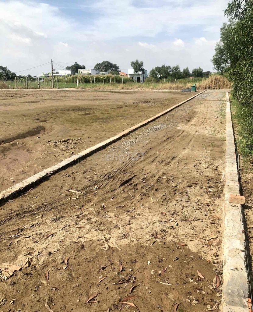 3593014 ảnh đại diện 2