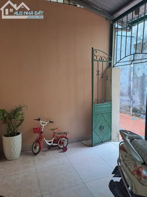 3590392 ảnh đại diện 1