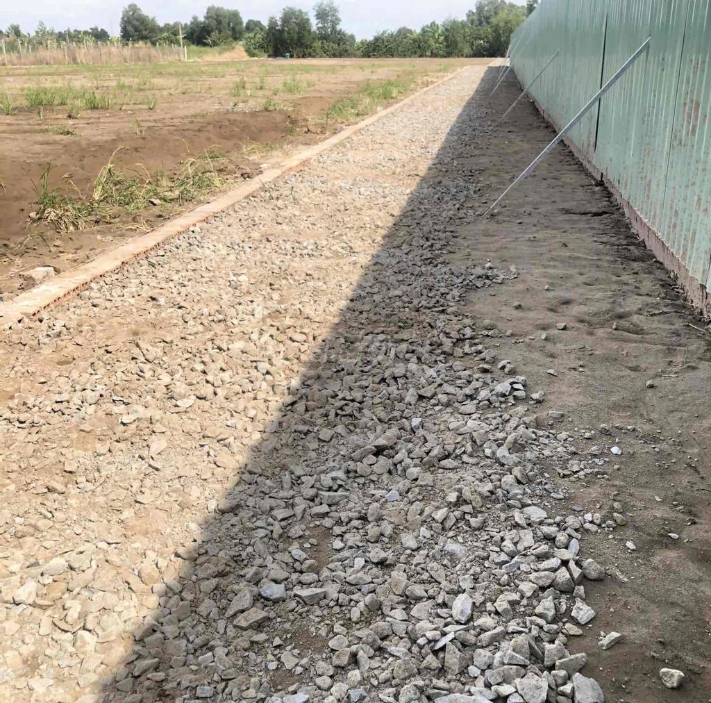 3592983 ảnh đại diện 1