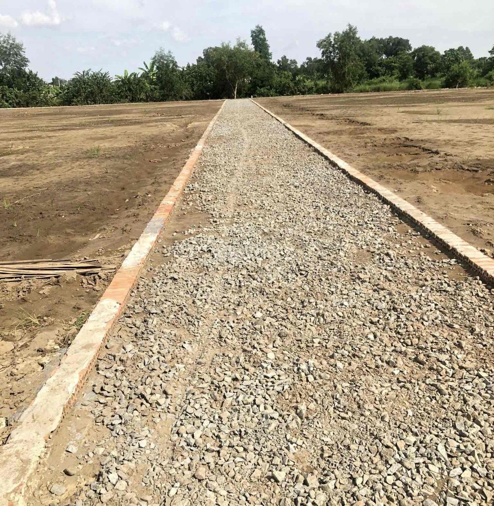 3592989 ảnh đại diện 2