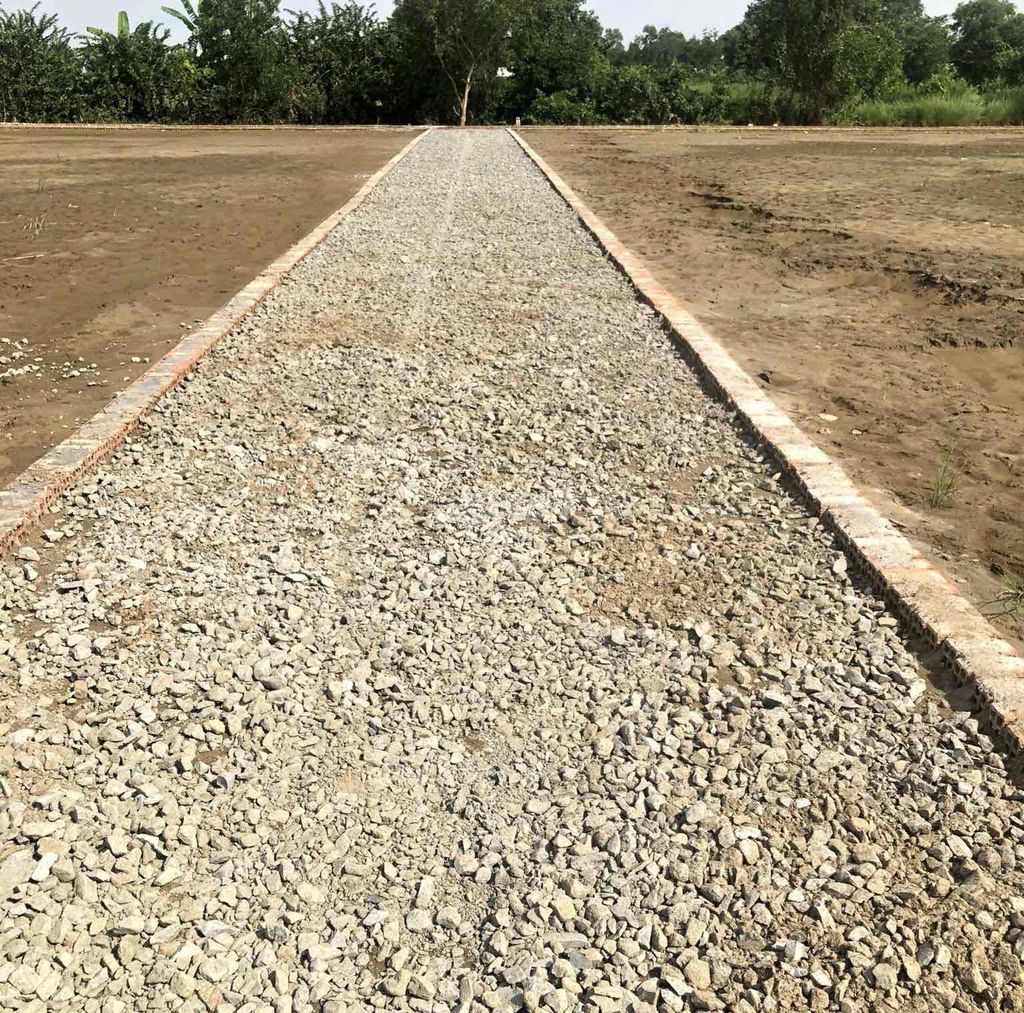 3592983 ảnh đại diện 2
